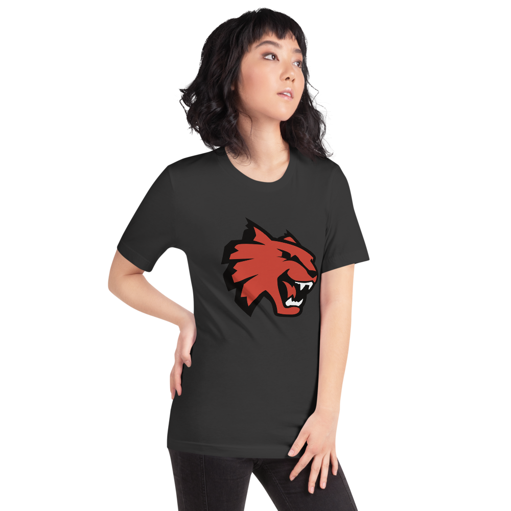 Las Vegas High School Design 1 — Dark Grey