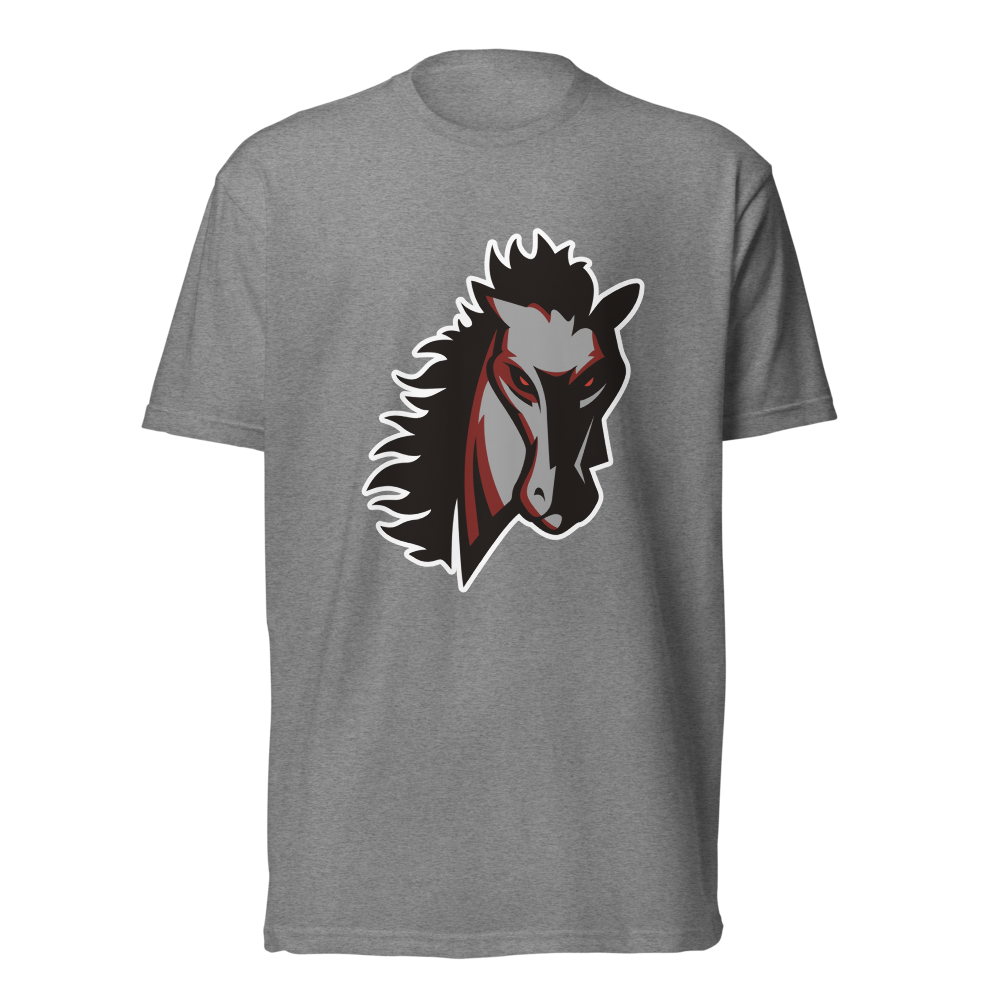 Earl Wooster High School Design 1 — Dark Heather Gray