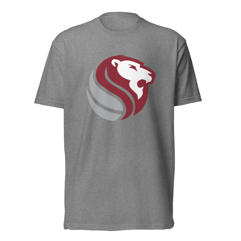 Haleyville High School Design 1 — Dark Heather Gray