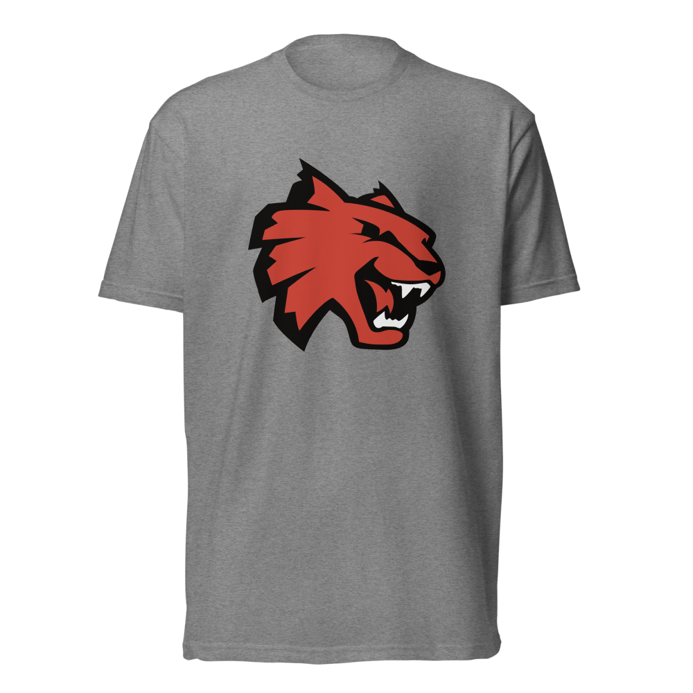 Las Vegas High School Design 1 — Dark Heather Gray