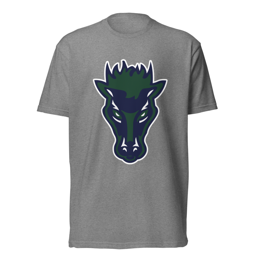 Damonte Ranch High School Design 1 — Dark Heather Gray