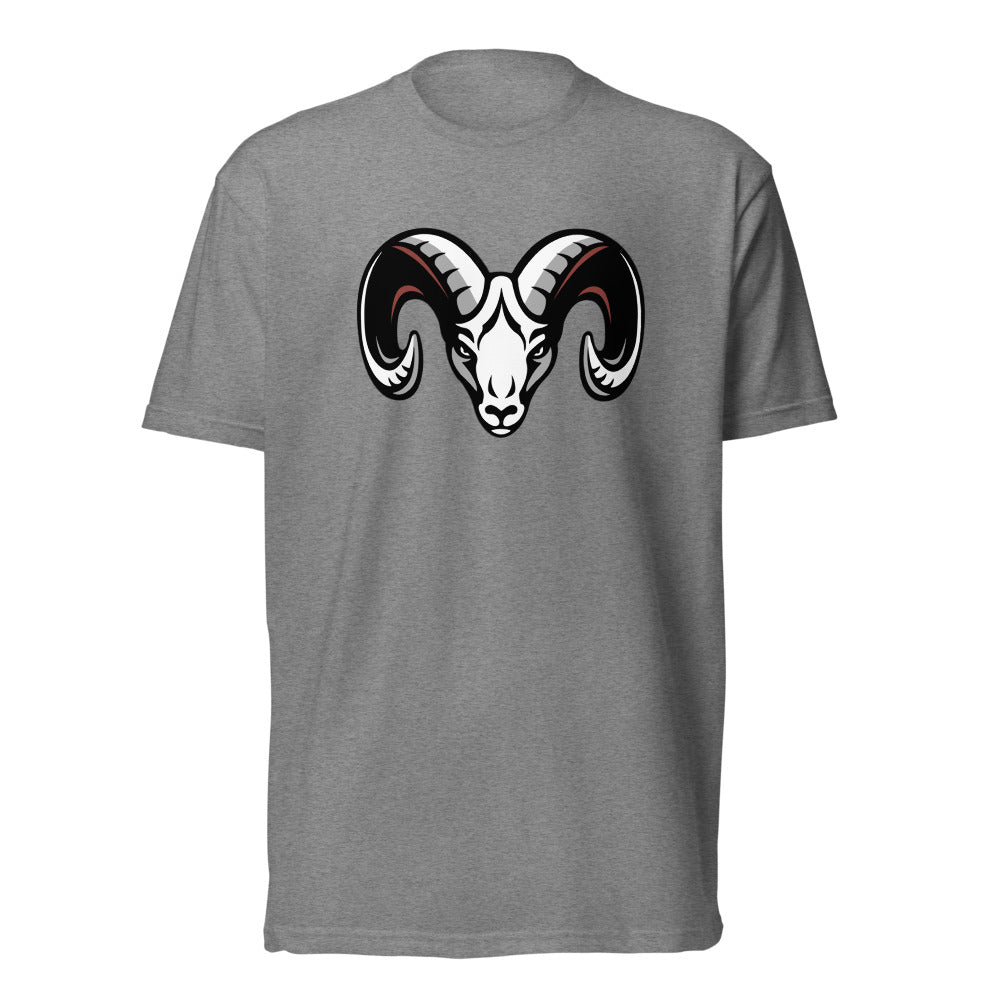 Faith Academy Design 1 — Dark Heather Gray