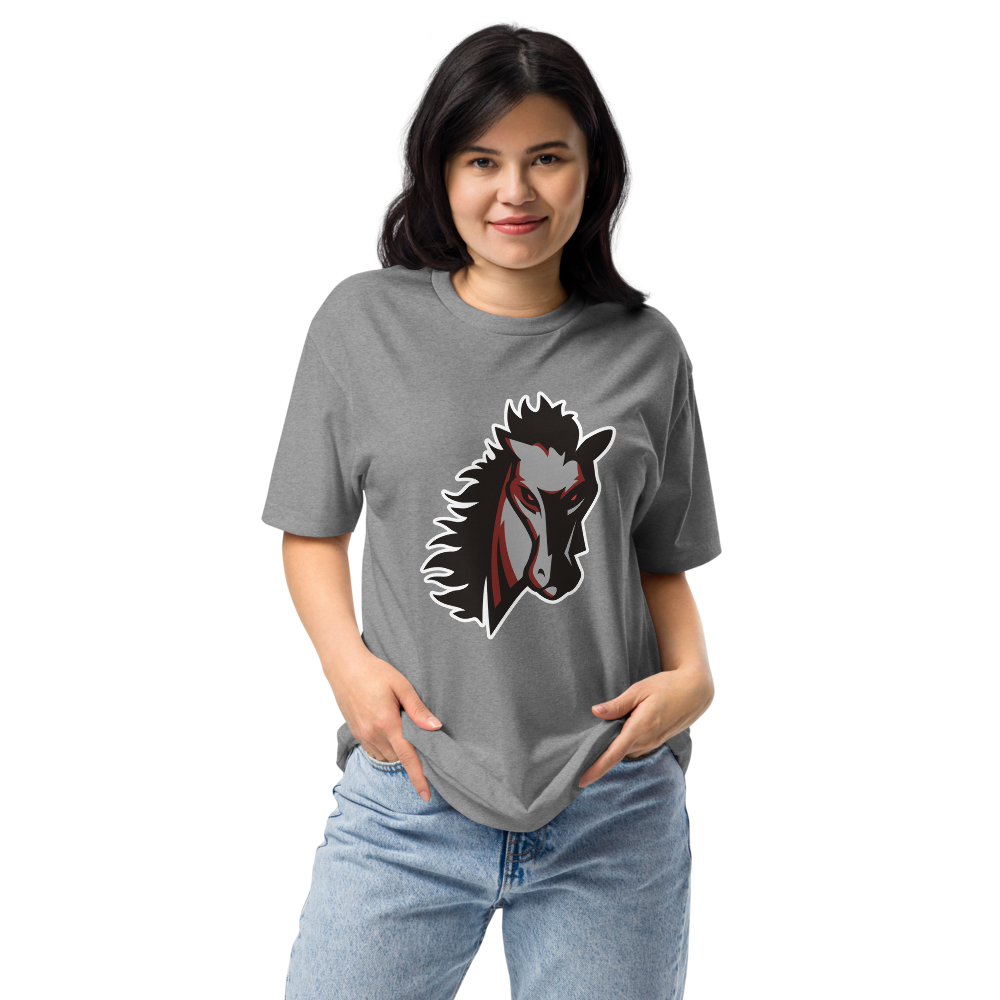 Earl Wooster High School Design 1 — Dark Heather Gray