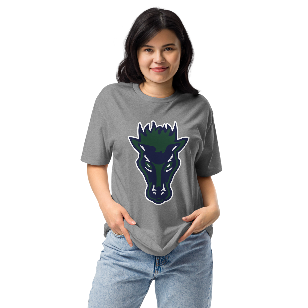 Damonte Ranch High School Design 1 — Dark Heather Gray