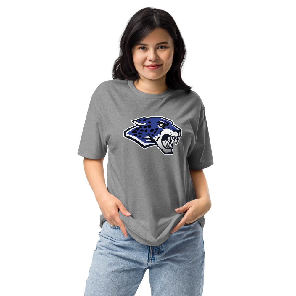 Desert Pines High School Design 1 — Dark Heather Gray