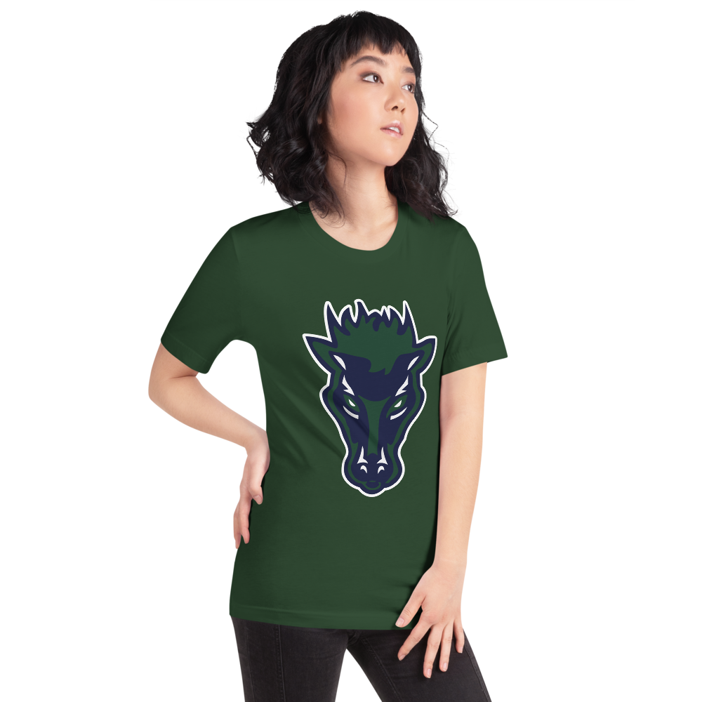 Damonte Ranch High School Design 1 — Forest