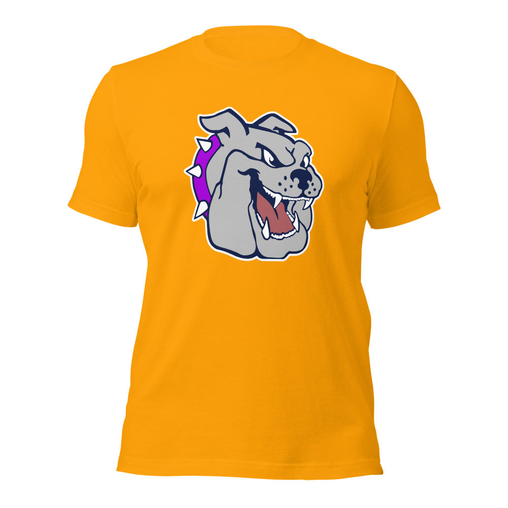 Sheffield High School Design 1 — Gold