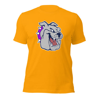 Sheffield High School Design 1 — Gold