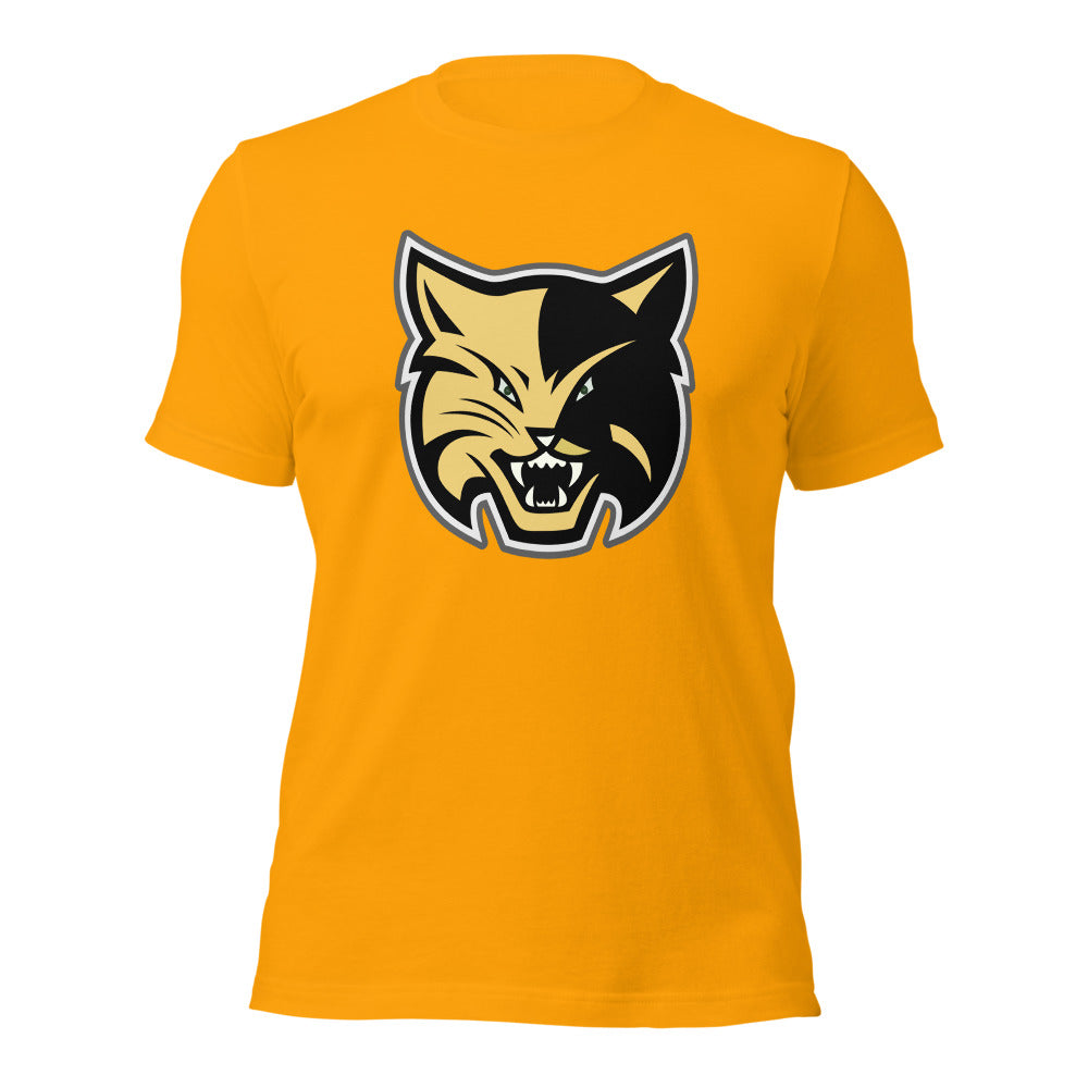 Fort Payne High School Design 1 — Gold