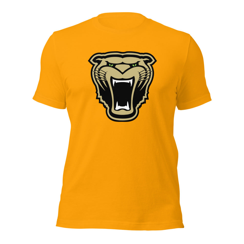 Cullman High School Design 1 — Gold