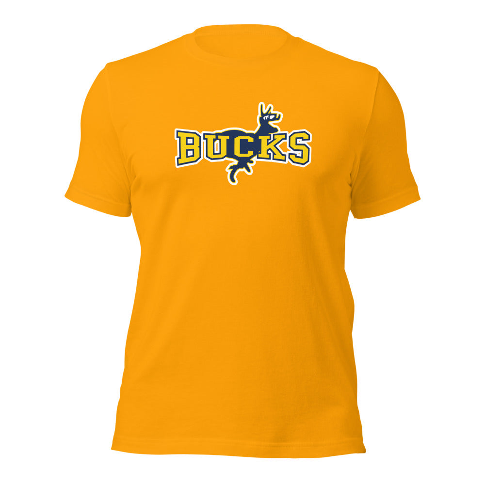 Buckhorn High School Design 1 — Gold