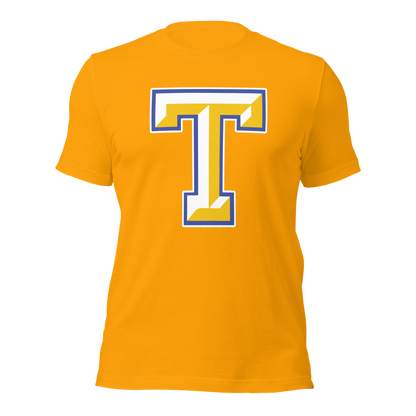 Taylorsville High School Design 1 — Gold