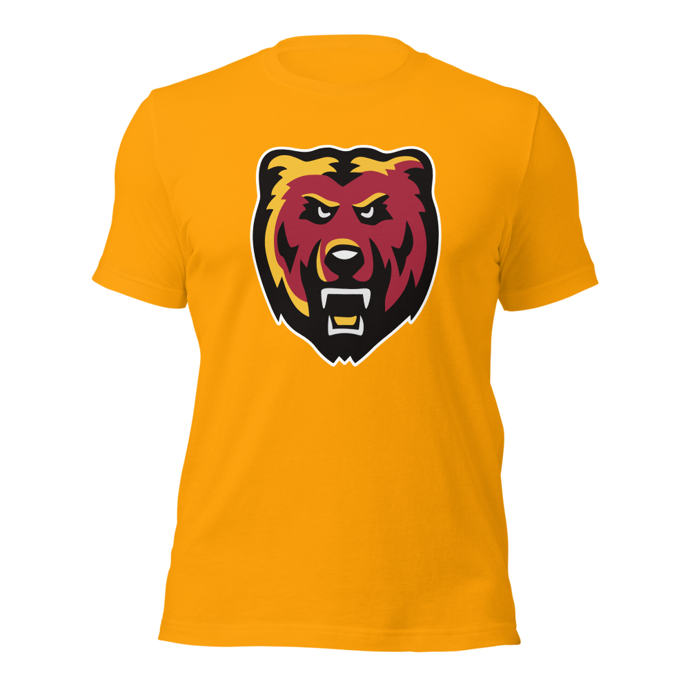 Mountain View High School Design 1 — Gold