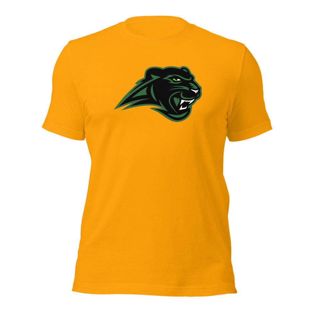 Pelham High School Design 1 — Gold