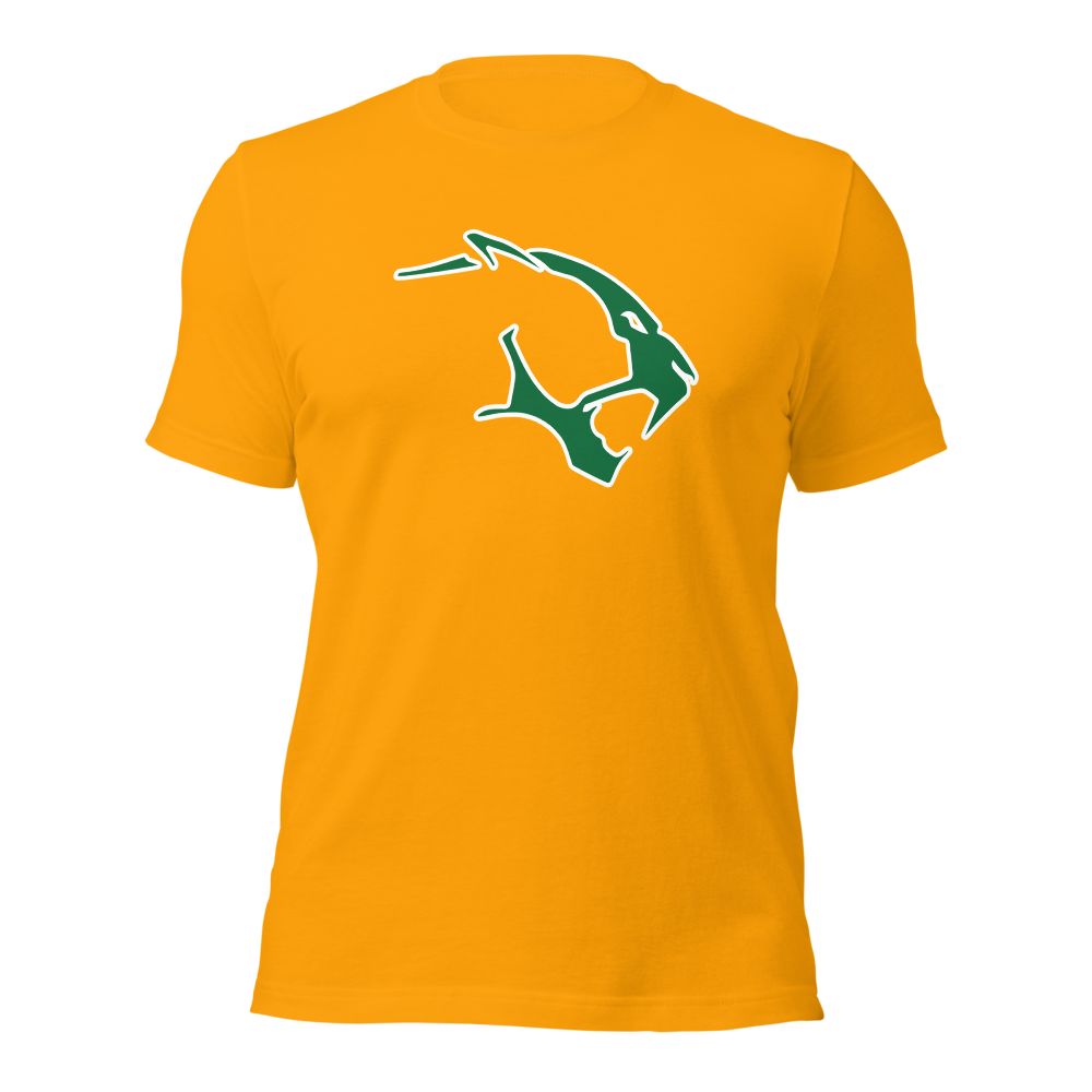 Kearns High School Design 1 — Gold