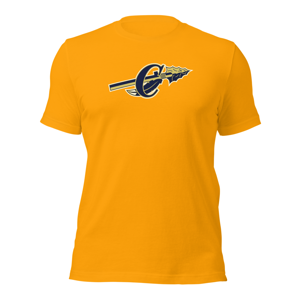 Cheyenne High School Design 1 — Gold