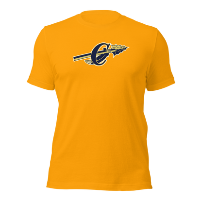 Cheyenne High School Design 1 — Gold