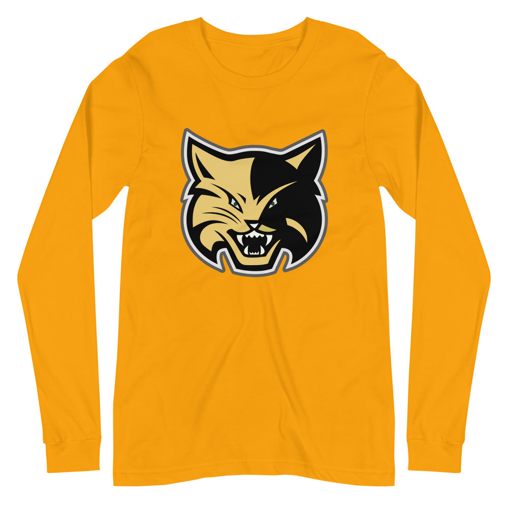 Fort Payne High School Design 1 — Gold