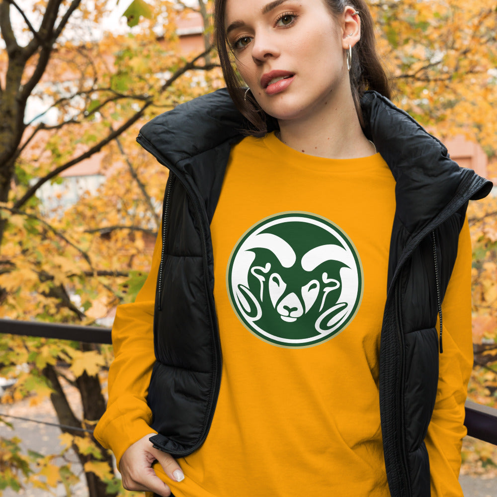 Sylvania High School Design 1 — Gold