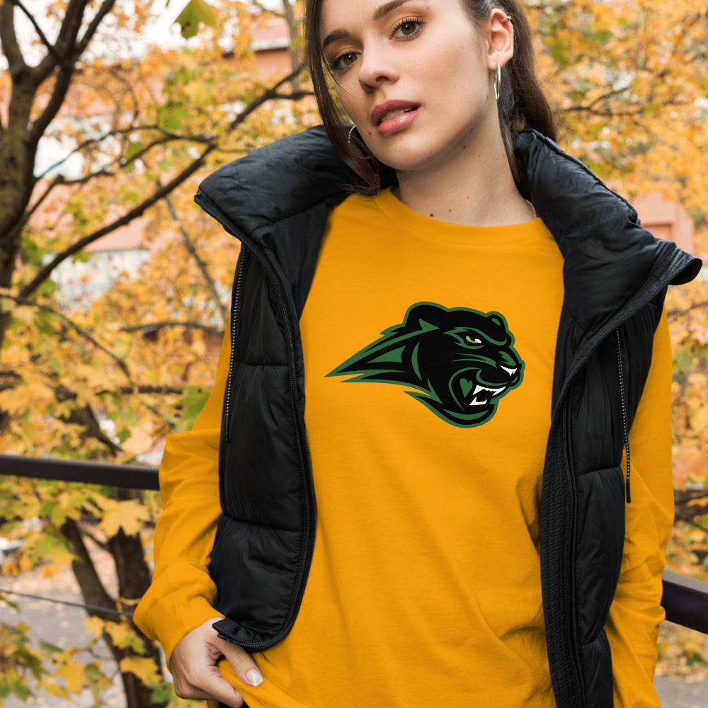 Pelham High School Design 1 — Gold