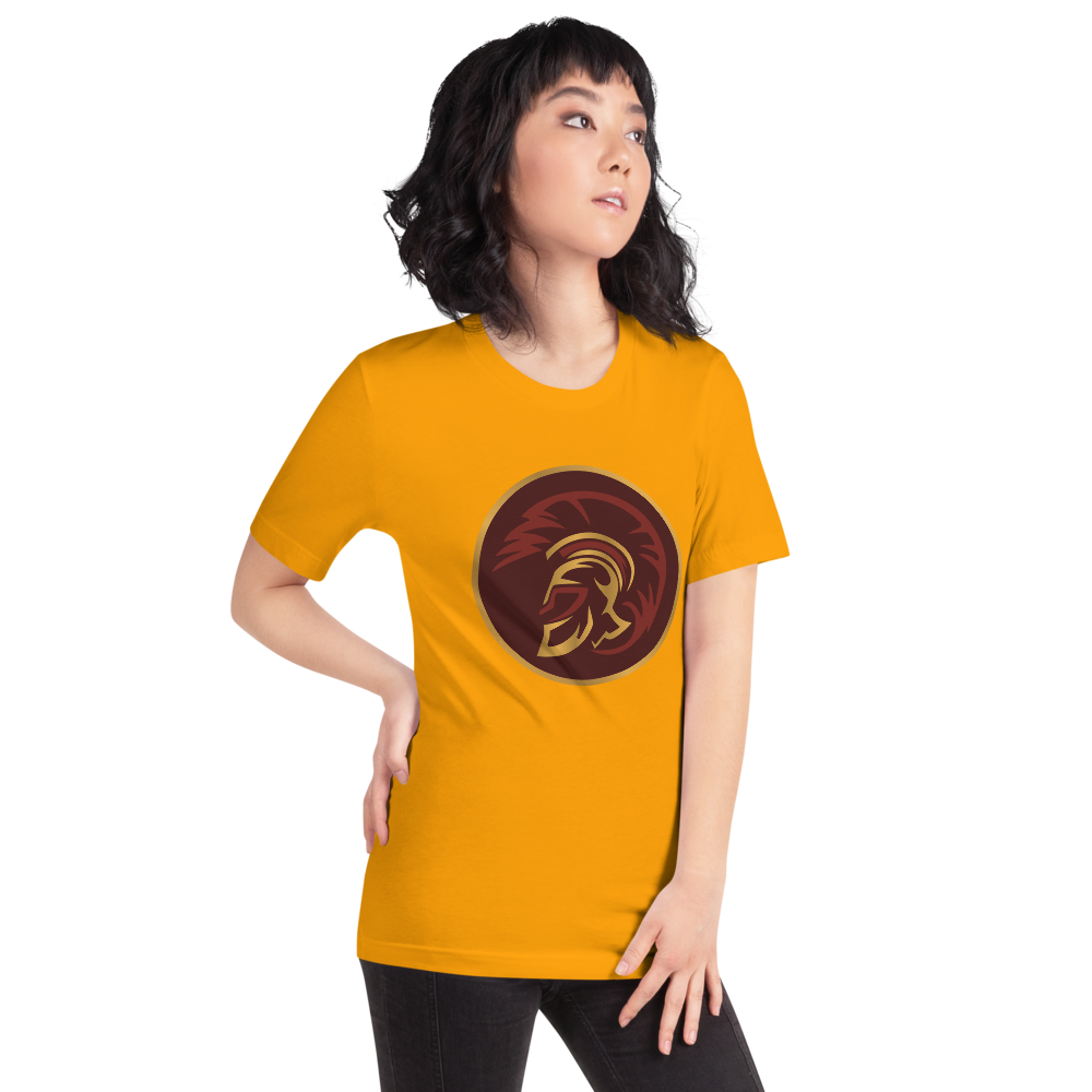 Pahrump Valley High School Design 1 — Gold