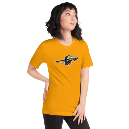 Cheyenne High School Design 1 — Gold