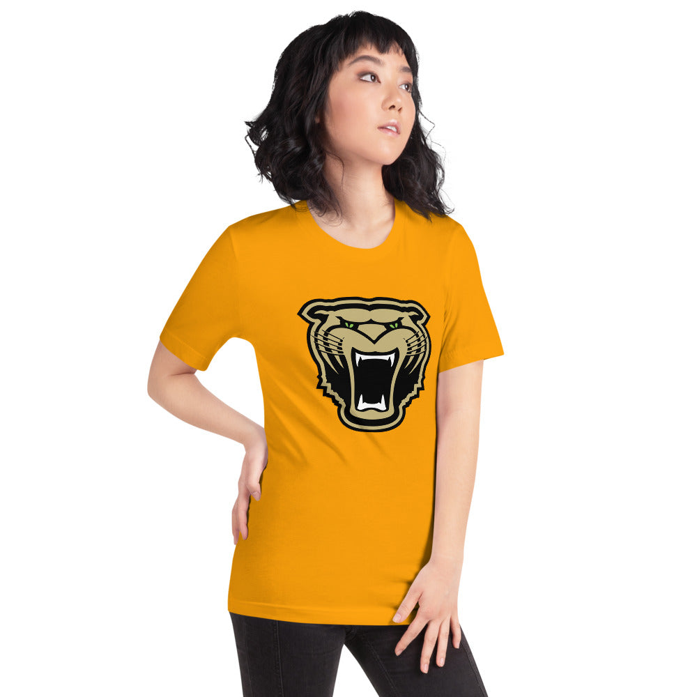 Cullman High School Design 1 — Gold