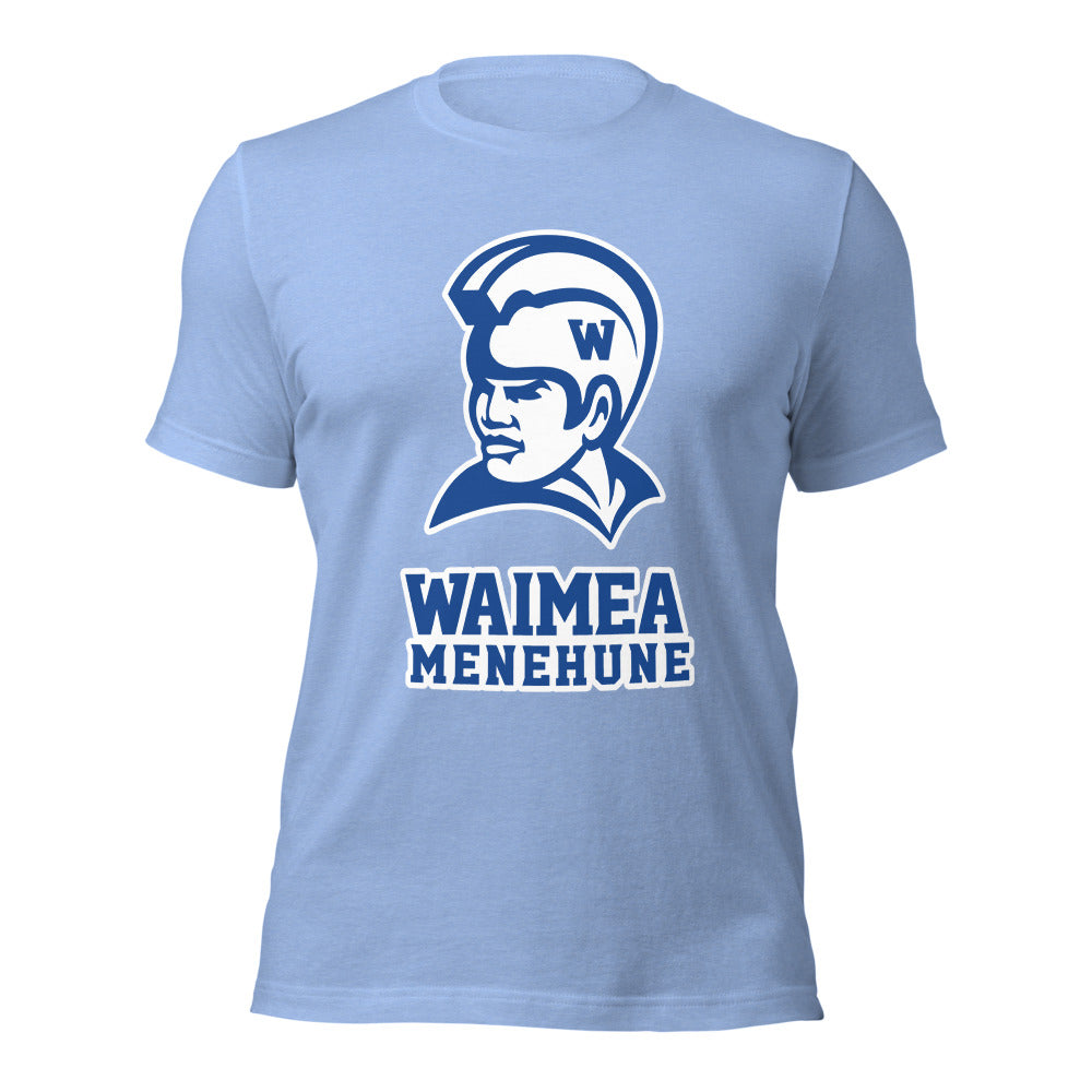 Waimea High School Design 1 — Heather Carolina Blue