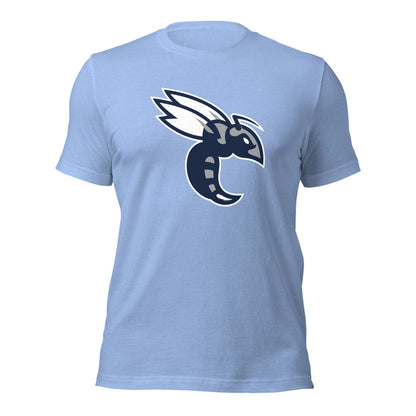 Baker High School Design 1 — Heather Carolina Blue