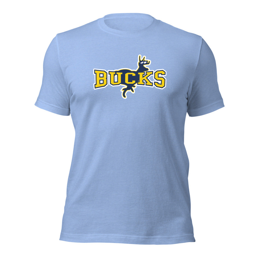 Buckhorn High School Design 1 — Heather Carolina Blue