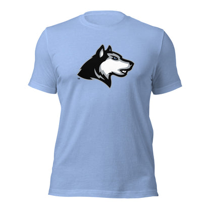 Helena High School Design 1 — Heather Carolina Blue