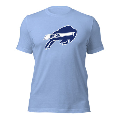 North Sand Mountain High School Design 1 — Heather Carolina Blue