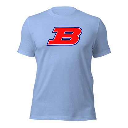 Albert P. Brewer High School Design 1 — Heather Carolina Blue