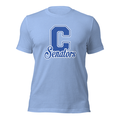 Carson High School Design 1 — Heather Carolina Blue