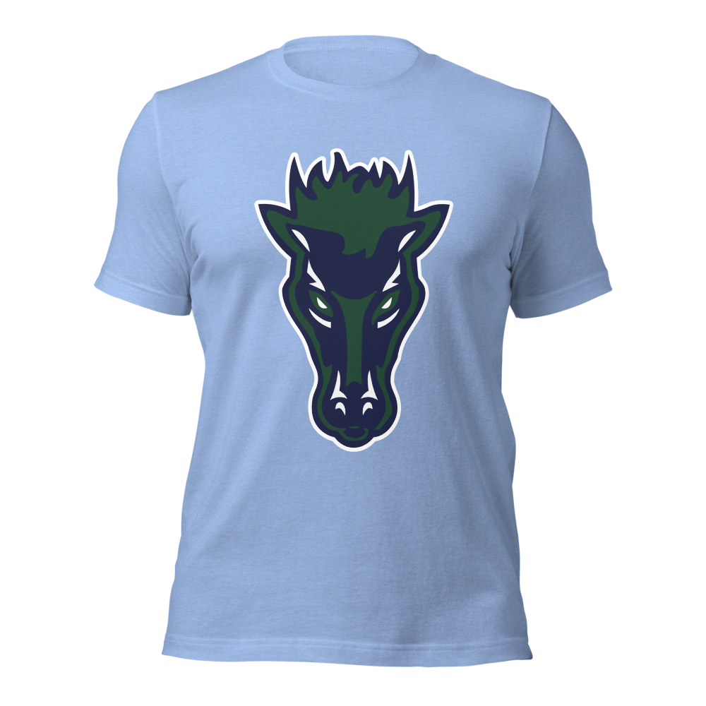 Damonte Ranch High School Design 1 — Heather Carolina Blue