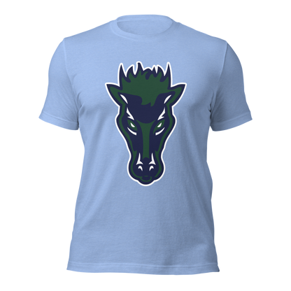 Damonte Ranch High School Design 1 — Heather Carolina Blue