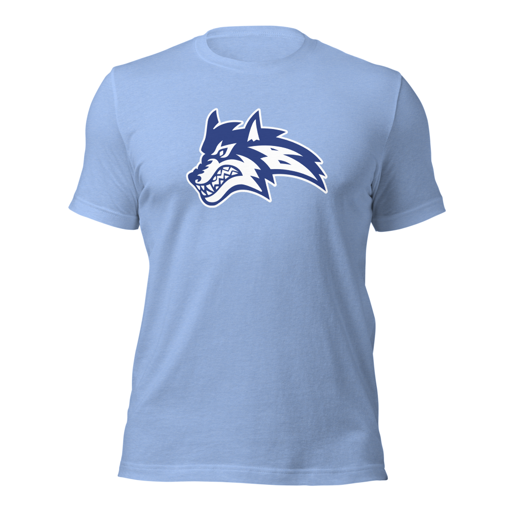 Basic Academy Design 1 — Heather Carolina Blue