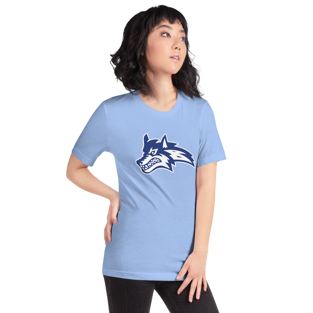 Basic Academy Design 1 — Heather Carolina Blue