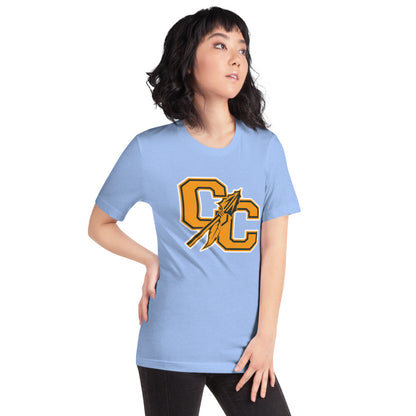 Cherokee County HIgh School Design 1 — Heather Carolina Blue
