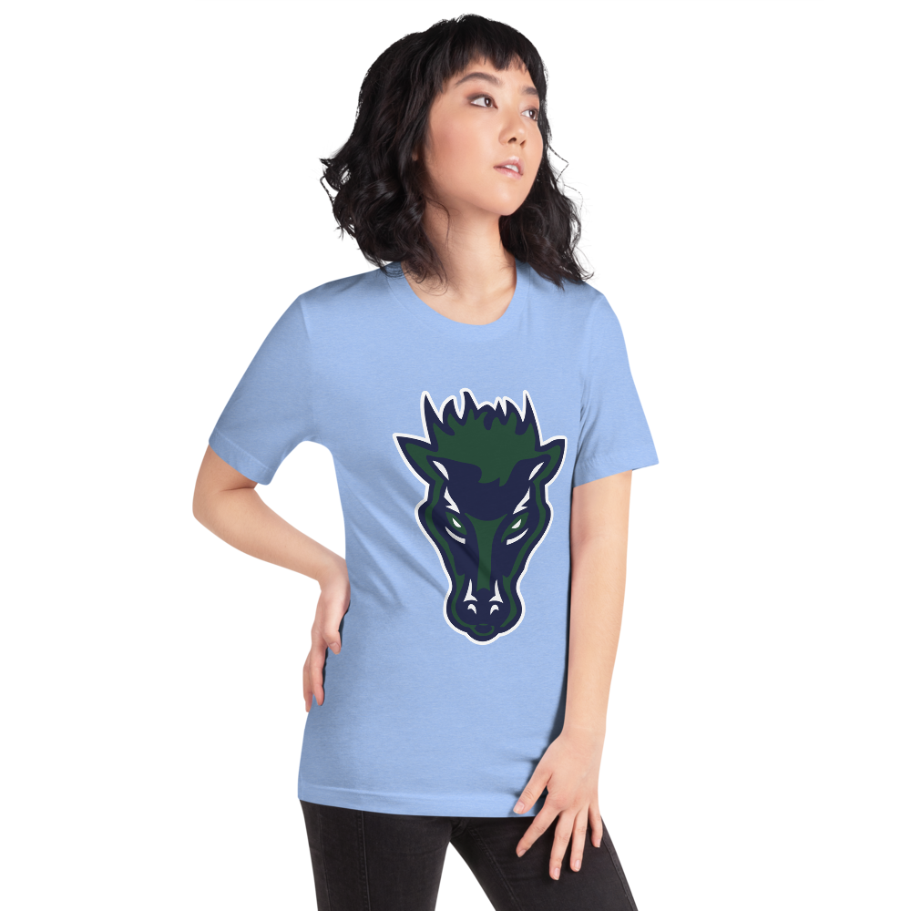 Damonte Ranch High School Design 1 — Heather Carolina Blue