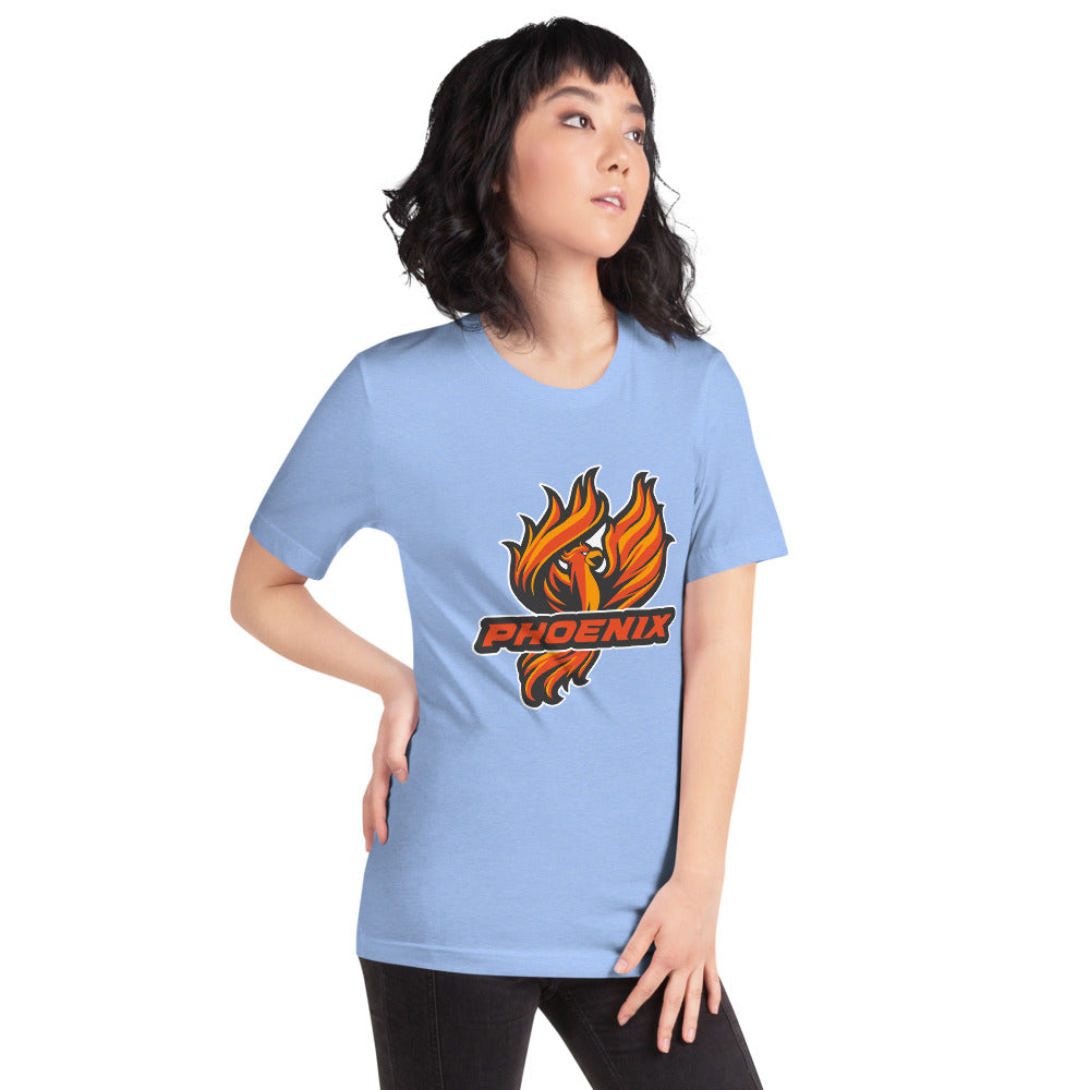 Percy Julian High School Design 1 — Heather Carolina Blue