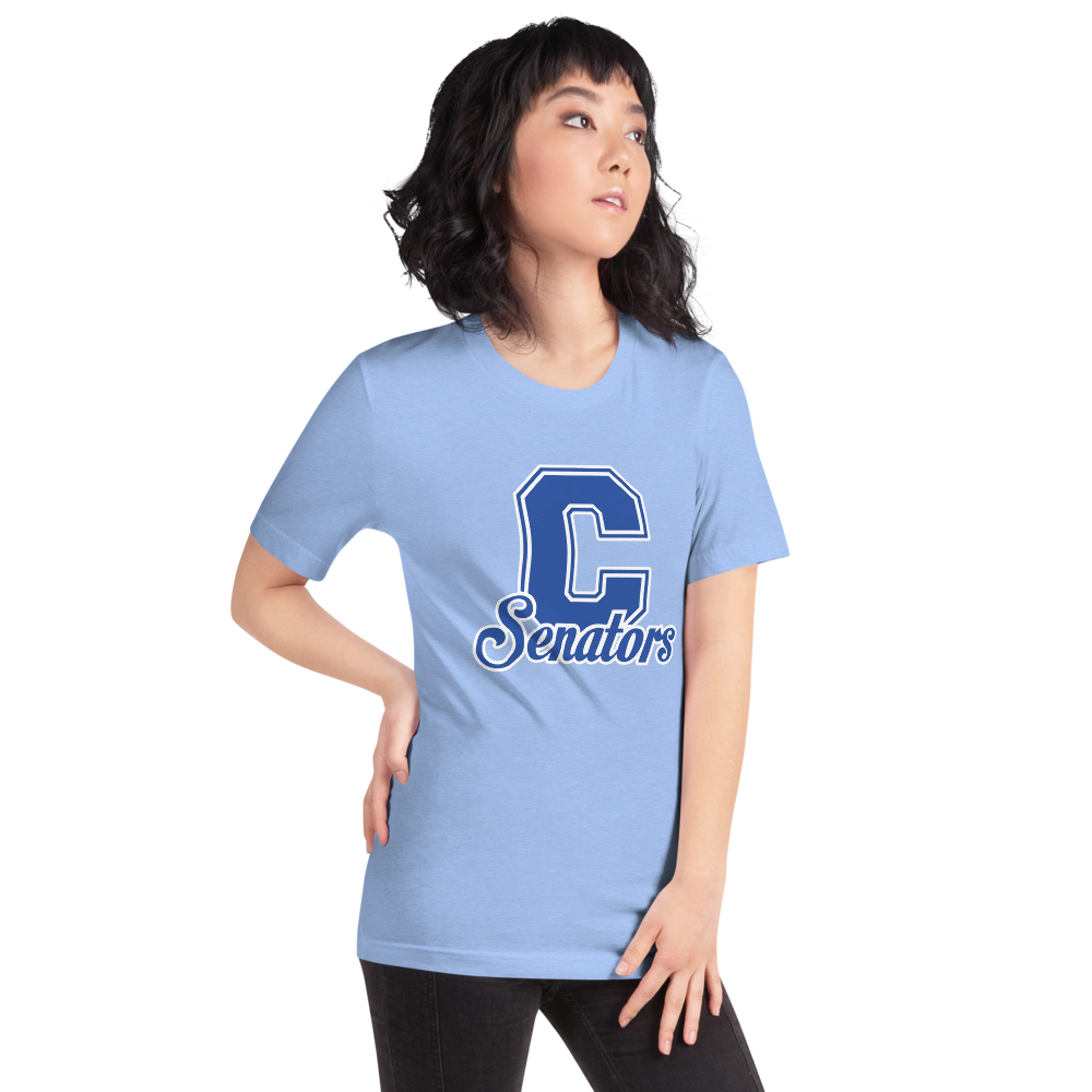 Carson High School Design 1 — Heather Carolina Blue
