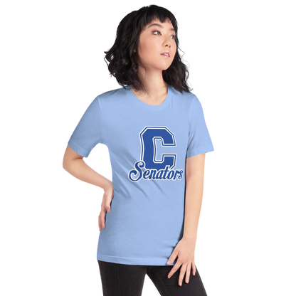 Carson High School Design 1 — Heather Carolina Blue