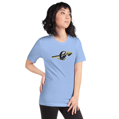 Cheyenne High School Design 1 — Heather Carolina Blue