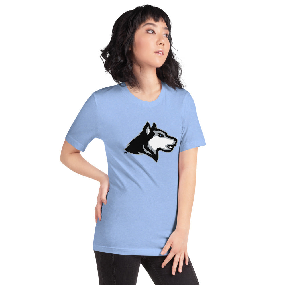 Helena High School Design 1 — Heather Carolina Blue