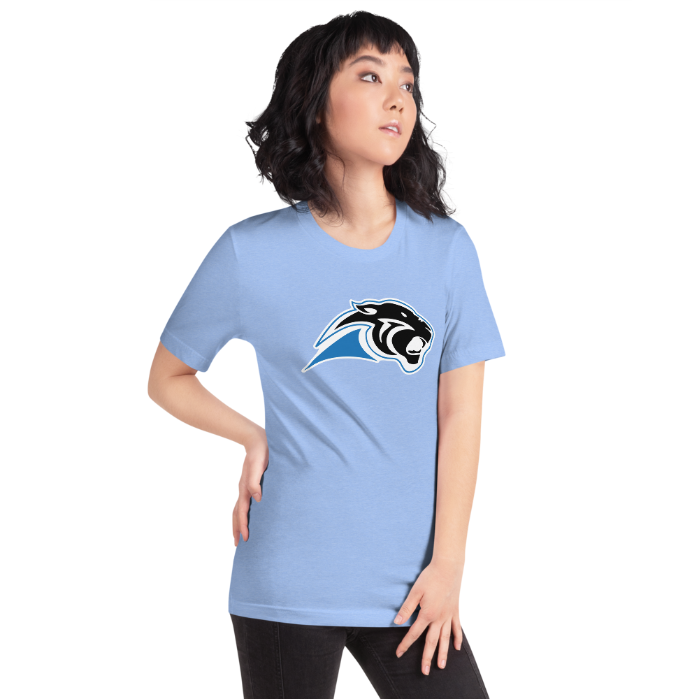 Pahranagat Valley High School Design 1 — Heather Carolina Blue