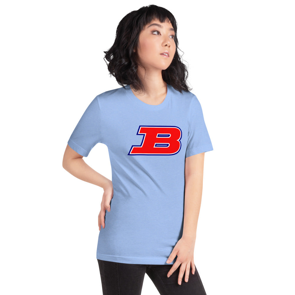Albert P. Brewer High School Design 1 — Heather Carolina Blue