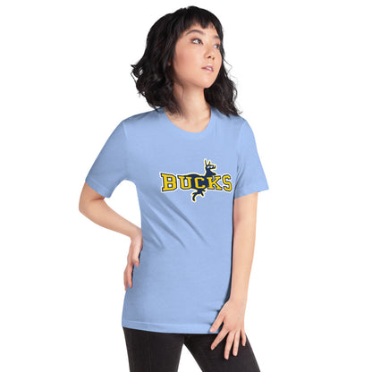 Buckhorn High School Design 1 — Heather Carolina Blue