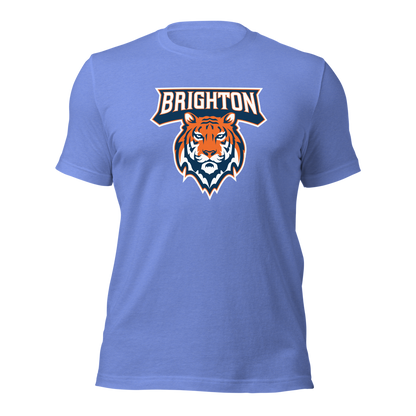 Brighton High School Design 1 — Heather Columbia Blue
