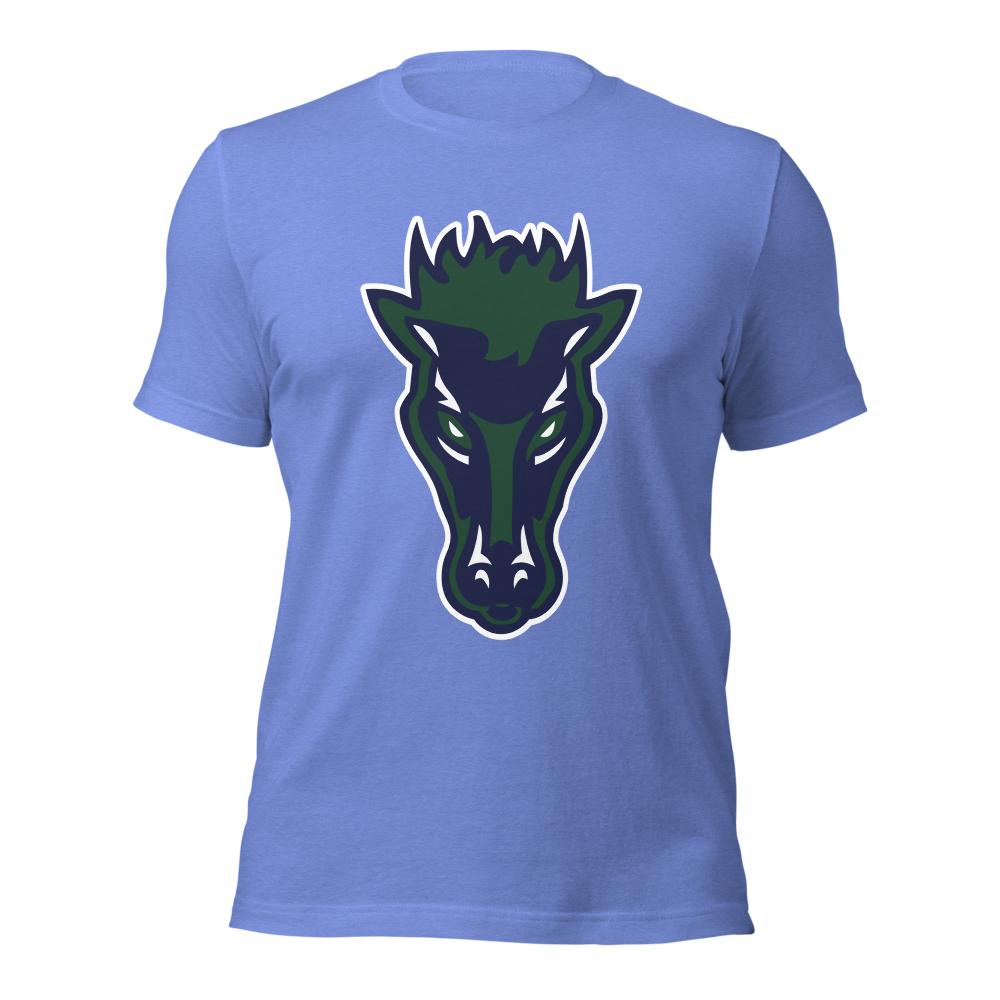 Damonte Ranch High School Design 1 — Heather Columbia Blue